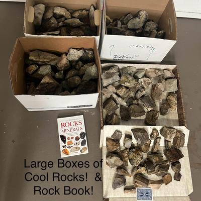 Rock Collection and Rocks and Minerals Book