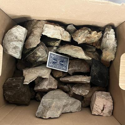 Rock Collection and Rocks and Minerals Book
