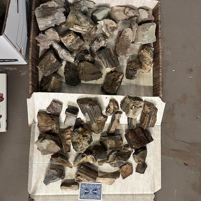 Rock Collection and Rocks and Minerals Book