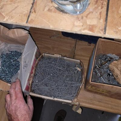 Box of self tapping screws, box of galvanized 16s and box of random screws nails