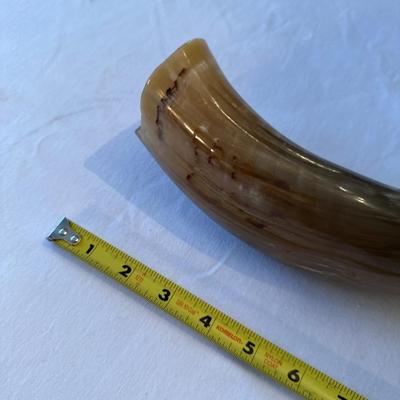 Mexican horn