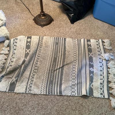 Rug Lot #2