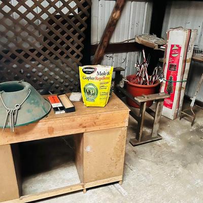 Lot 30: Large Shed (Back)