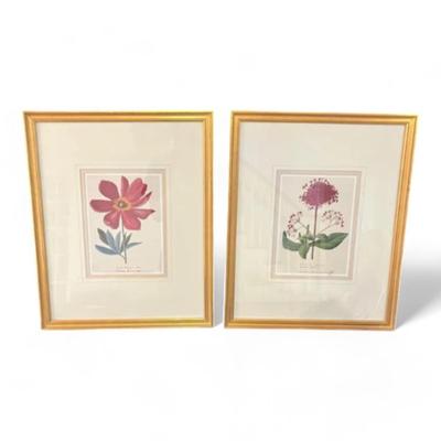 Pair Of Quality Framed Floral Prints