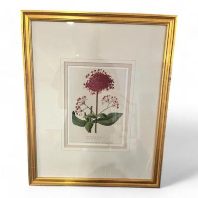 Pair Of Quality Framed Floral Prints
