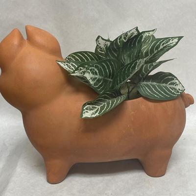 Terra-cotta pig planter
