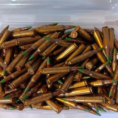 Plastic pencil case full of 5.56 green tip ammunition