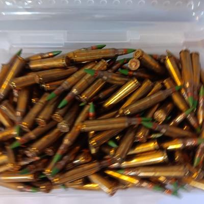 Plastic pencil case full of 5.56 green tip ammunition