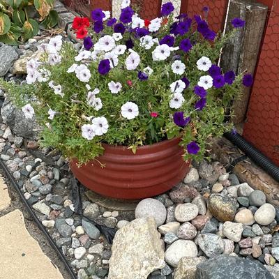 Truck rim planter Flower pot 1