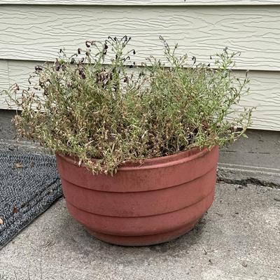 Truck tire rim Flower pot 2