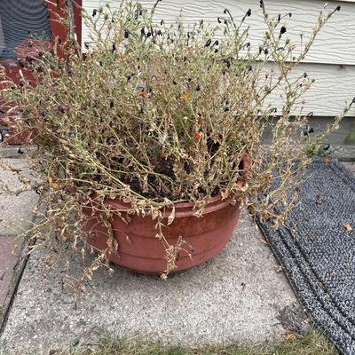 Truck tire rim Flower pot 3