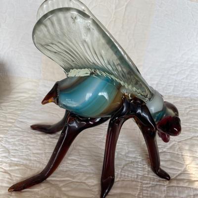 Glass fly