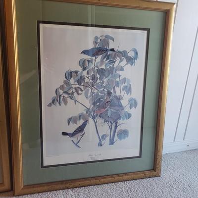 Three Audubon Prints (3UL-KD)
