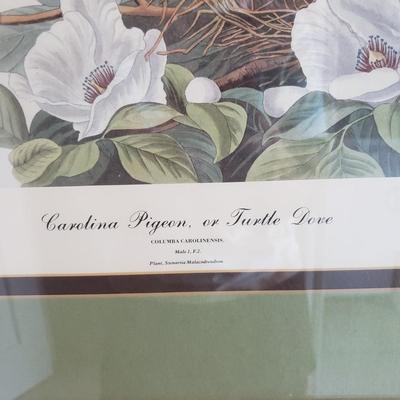 Three Audubon Prints (3UL-KD)