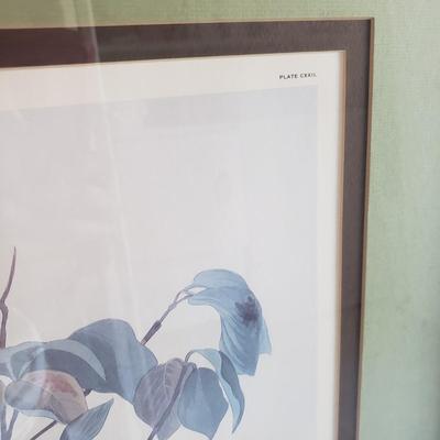 Three Audubon Prints (3UL-KD)