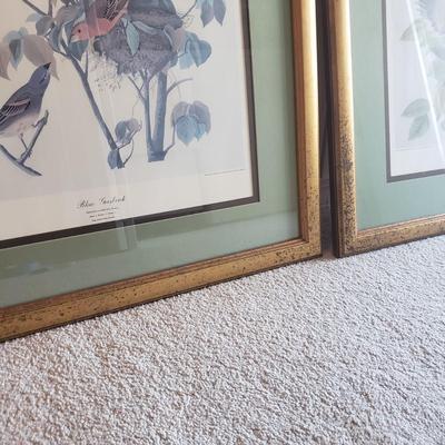 Three Audubon Prints (3UL-KD)