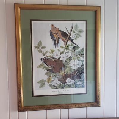 Three Audubon Prints (3UL-KD)