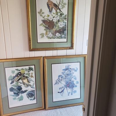 Three Audubon Prints (3UL-KD)