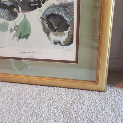 Three Audubon Prints (3UL-KD)