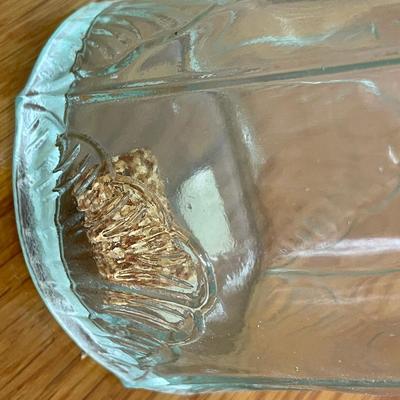 4 Glass Bottles