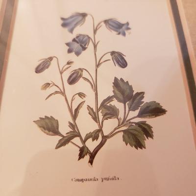 Four Floral Prints in Gold Leaf Frames (3UB-KD)