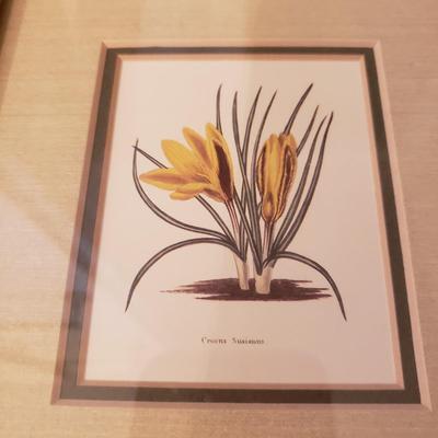 Four Floral Prints in Gold Leaf Frames (3UB-KD)