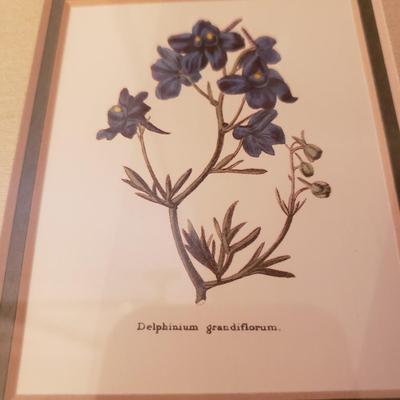 Four Floral Prints in Gold Leaf Frames (3UB-KD)