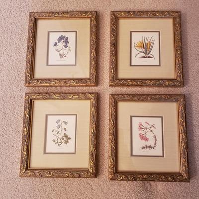 Four Floral Prints in Gold Leaf Frames (3UB-KD)