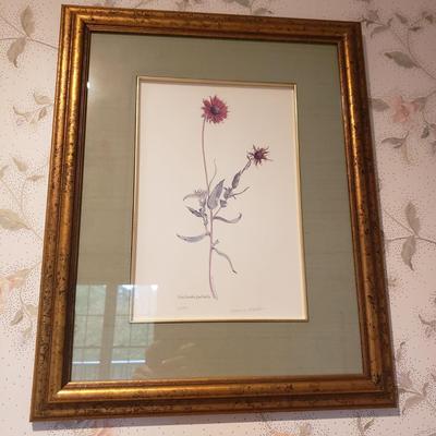 Four Pencil Signed & Numbered Rosario Baxter Floral Prints (3GB1-KD)