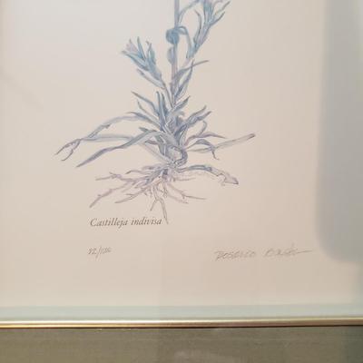 Four Pencil Signed & Numbered Rosario Baxter Floral Prints (3GB1-KD)