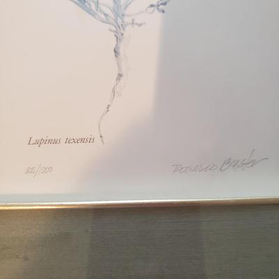 Four Pencil Signed & Numbered Rosario Baxter Floral Prints (3GB1-KD)