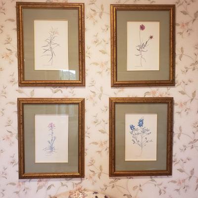 Four Pencil Signed & Numbered Rosario Baxter Floral Prints (3GB1-KD)