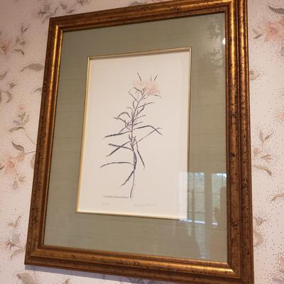 Four Pencil Signed & Numbered Rosario Baxter Floral Prints (3GB1-KD)