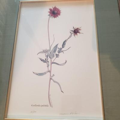 Four Pencil Signed & Numbered Rosario Baxter Floral Prints (3GB1-KD)