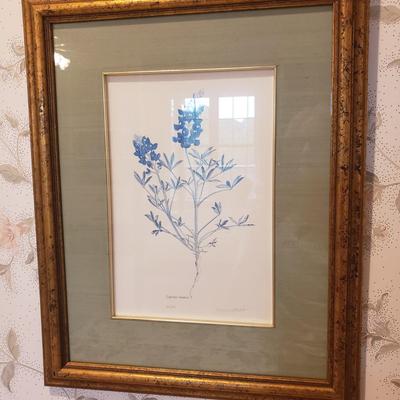 Four Pencil Signed & Numbered Rosario Baxter Floral Prints (3GB1-KD)