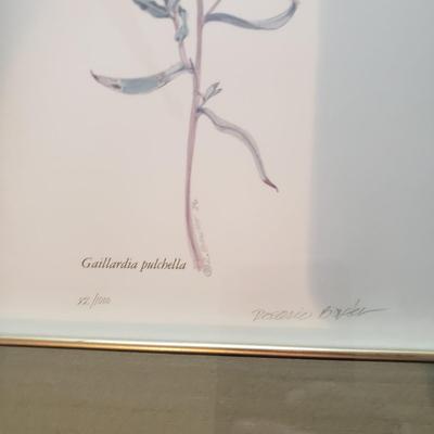 Four Pencil Signed & Numbered Rosario Baxter Floral Prints (3GB1-KD)