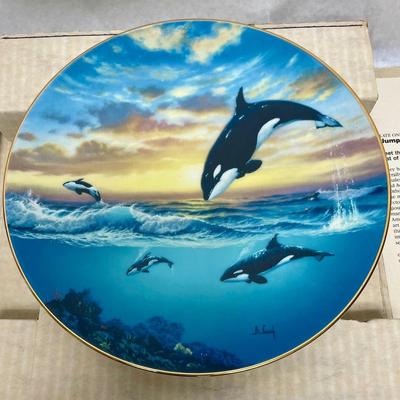 Killer Whale Collector Plate - Jumping for Joy