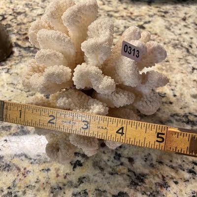 Coral