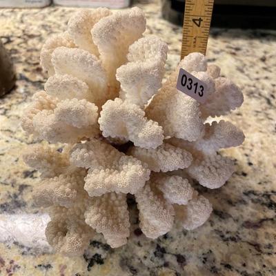 Coral