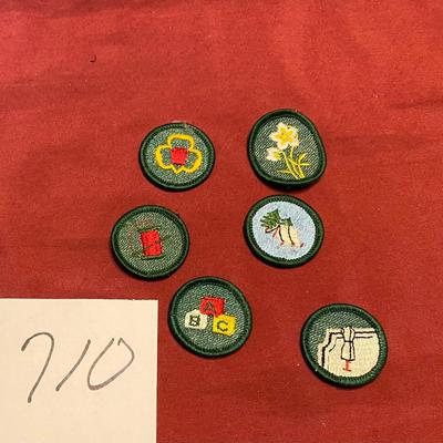 Girl Scout Merit Badge Patches