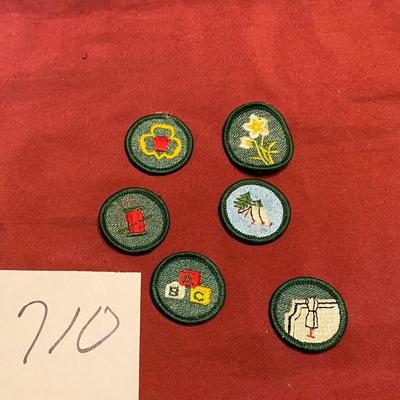 Girl Scout Merit Badge Patches