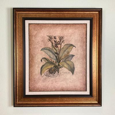 586 Banyan Botanical Print on Board Double Matted