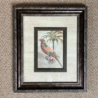 595 Pair of Parrot Framed Prints