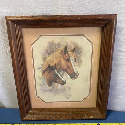 Mare and Foal Picture