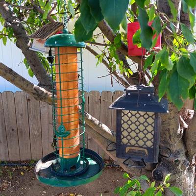 2 BIRD FEEDERS (1)