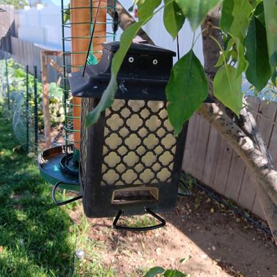 2 BIRD FEEDERS (1)