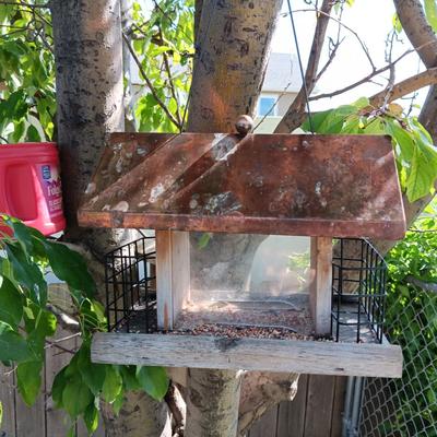 A BIRD FEEDER AND BIRD HOUSE