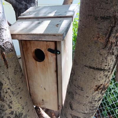 A BIRD FEEDER AND BIRD HOUSE
