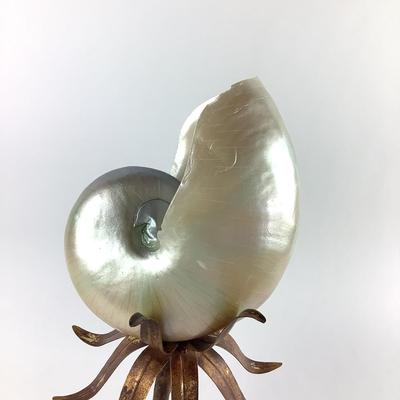 653 Decorative Faux Nautilus Shell In Metal Stand
