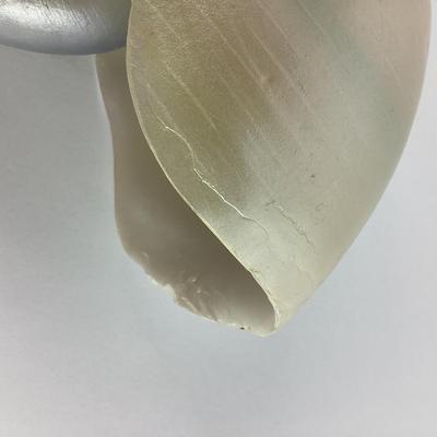 653 Decorative Faux Nautilus Shell In Metal Stand